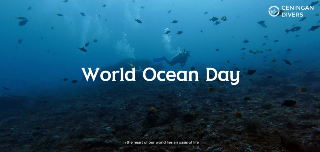 On June 8th, the global community came together to celebrate World Ocean Day, a day dedicated to honoring and protecting our magnificent oceans. The ocean, with its vastness and mystery, holds a special place in our hearts. It's not just a source of wonder and adventure; it's the lifeblood of our planet, providing us with oxygen, food, and countless resources.